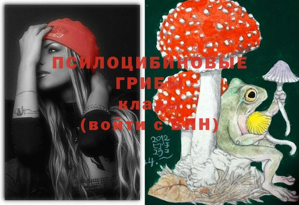 СК Володарск