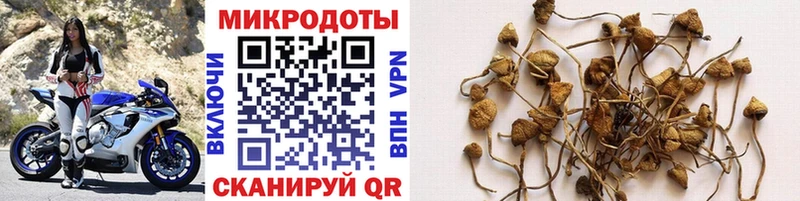 Купить где  Буинск  Псилоцибиновые грибы мухоморы 